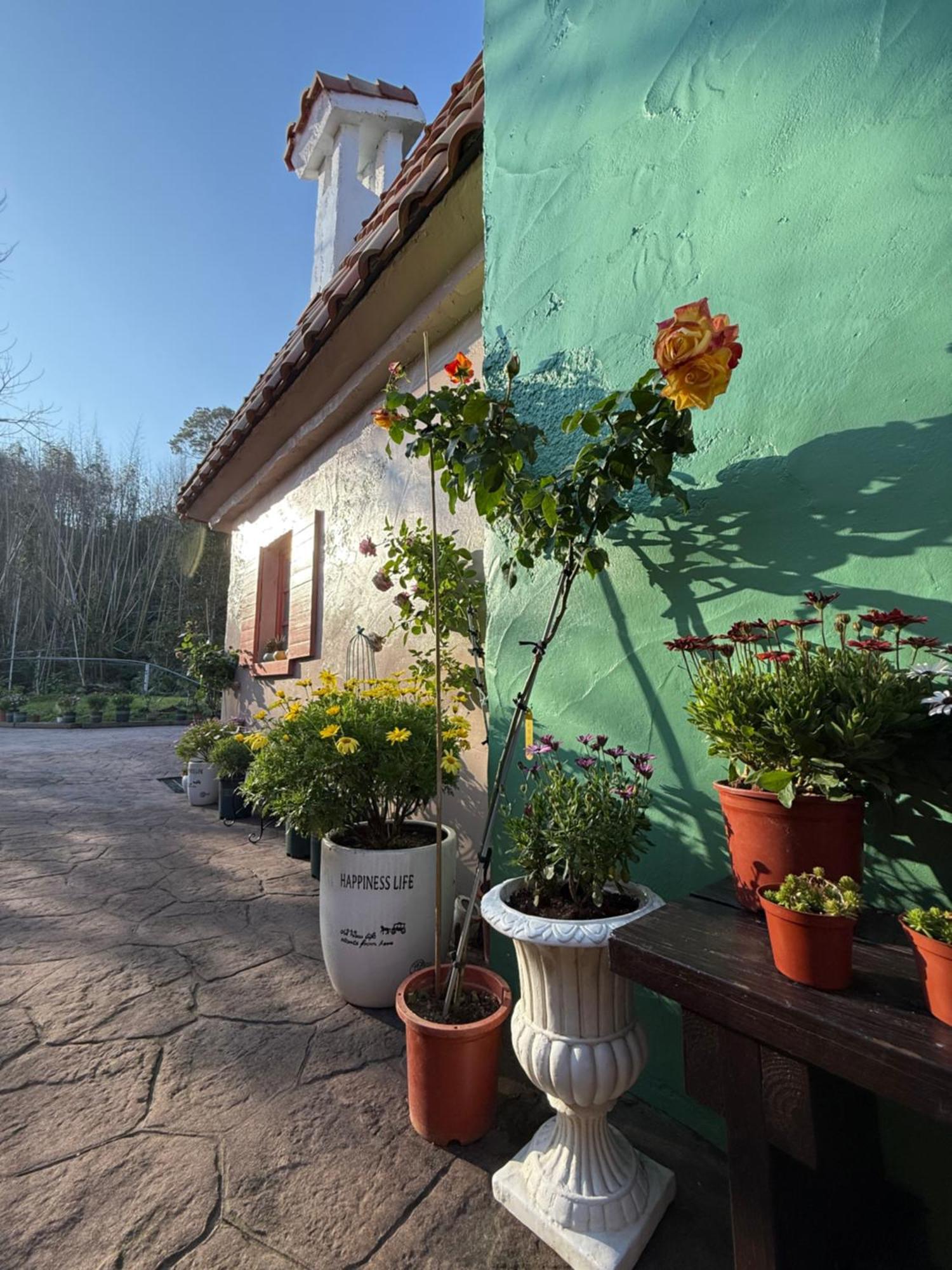 Alishan Tea Garden B&B Fenchihu Exterior photo