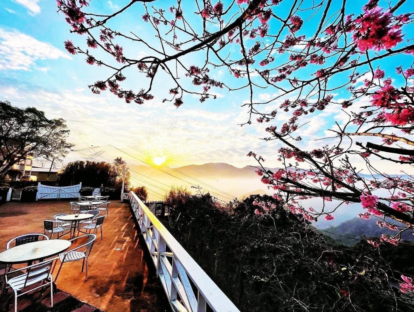 Alishan Tea Garden B&B Fenchihu Exterior photo